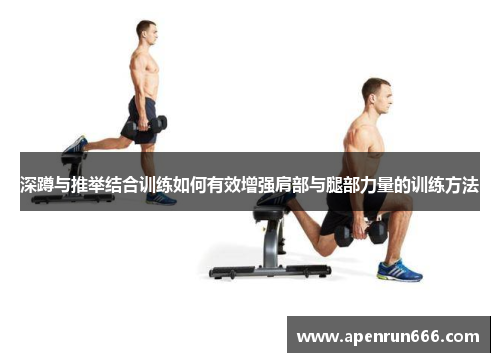 深蹲与推举结合训练如何有效增强肩部与腿部力量的训练方法