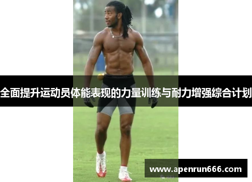 全面提升运动员体能表现的力量训练与耐力增强综合计划