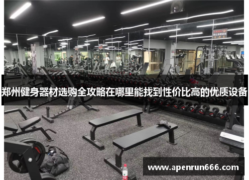 郑州健身器材选购全攻略在哪里能找到性价比高的优质设备