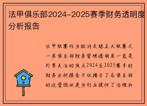 法甲俱乐部2024-2025赛季财务透明度分析报告