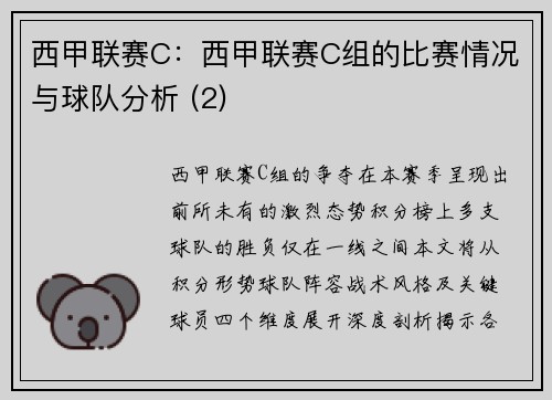 西甲联赛C：西甲联赛C组的比赛情况与球队分析 (2)